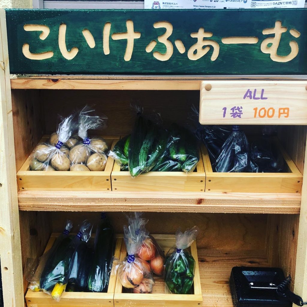 新鮮野菜の百円均一こいけふぁーむ